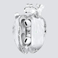 Halloween Heart of Music – Stylish Protection for Your AirPods