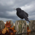 Halloween Decoration Realistic Artificial Crows